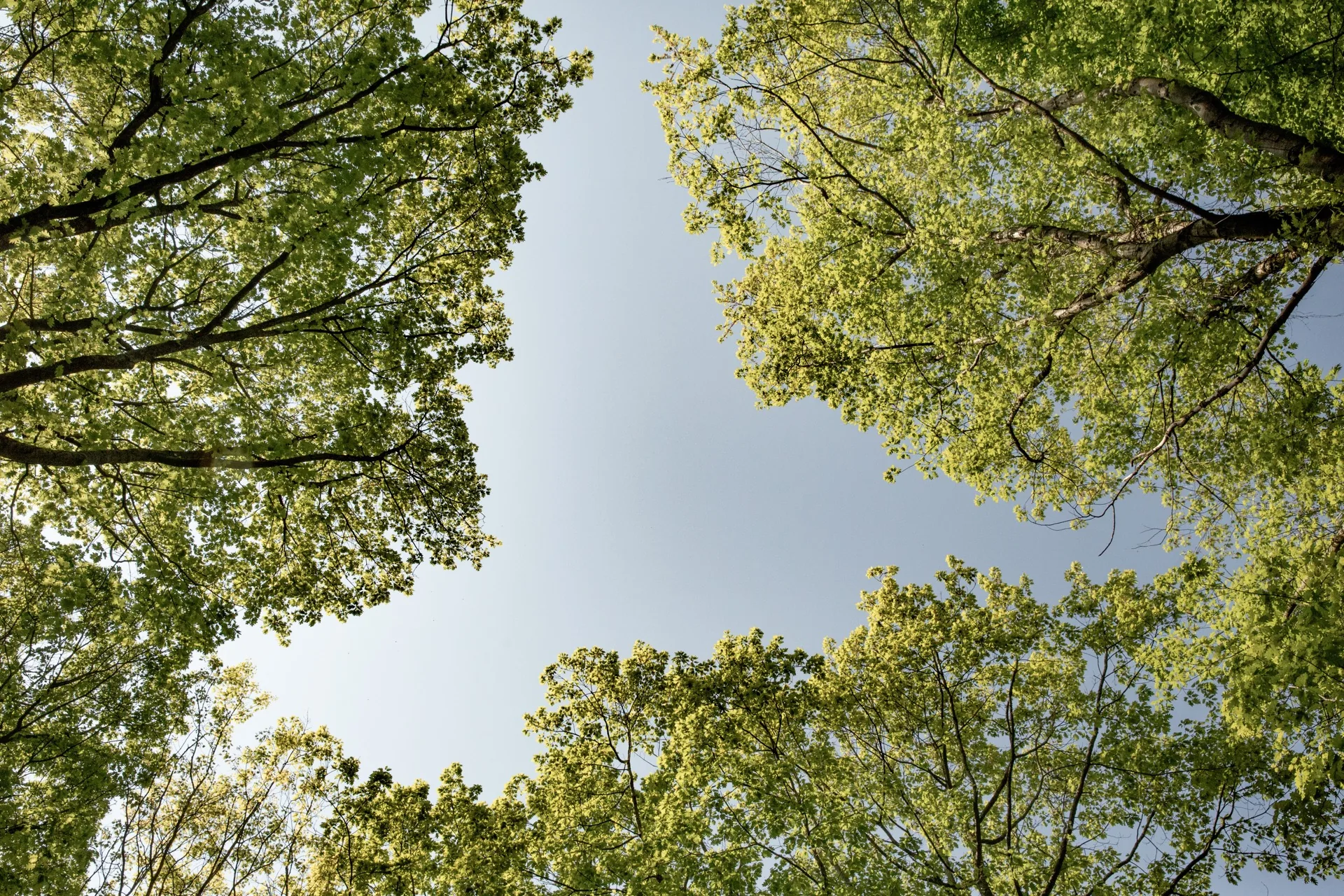 Leigh Court textures.